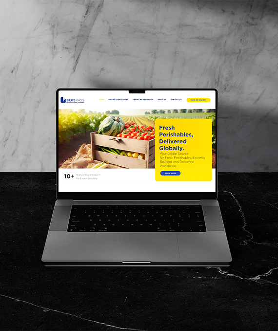 Website for Bluerays International : Elevating Global  Exports with Digital Excellence